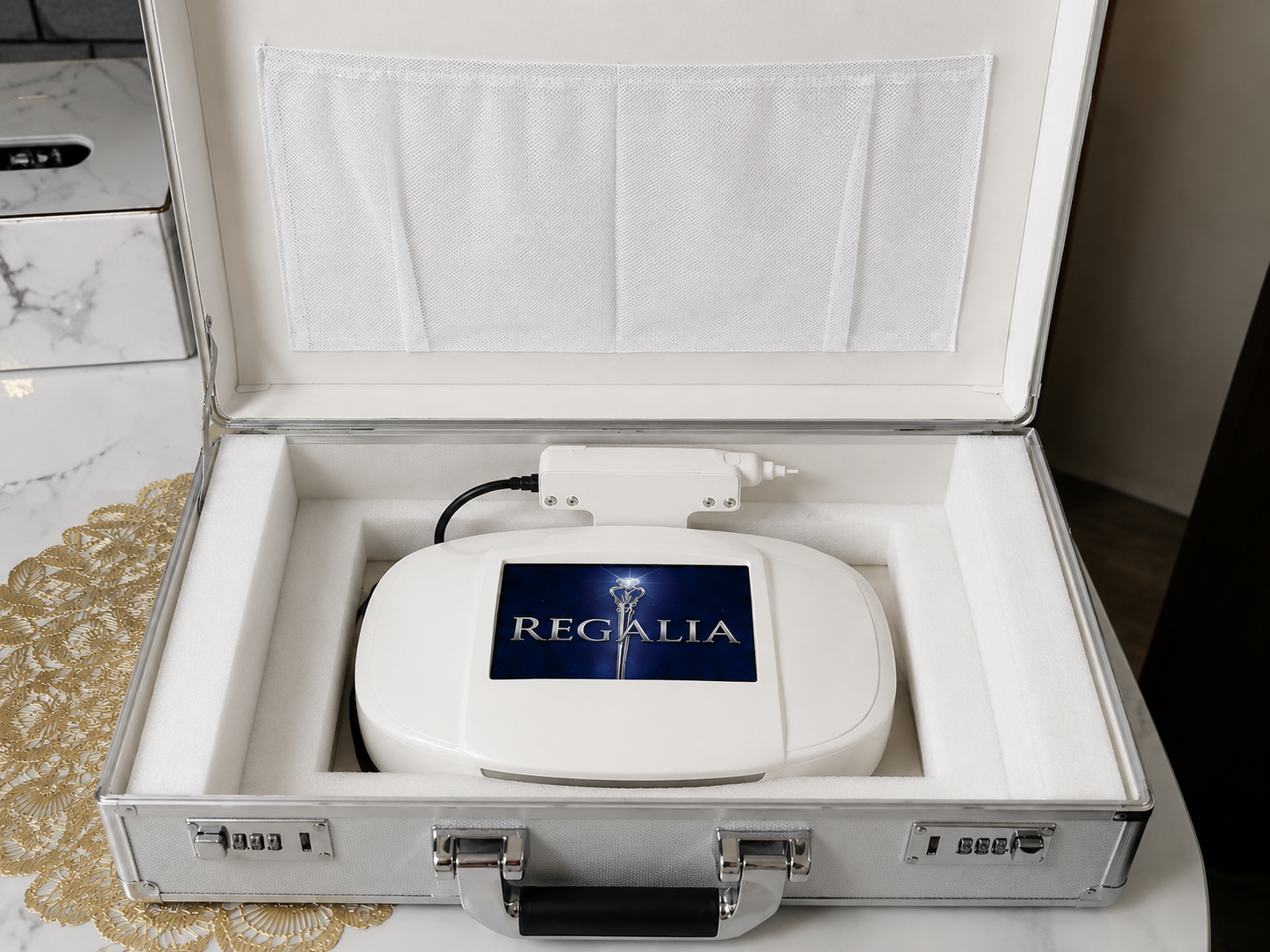 REGALIA 導入までの流れ